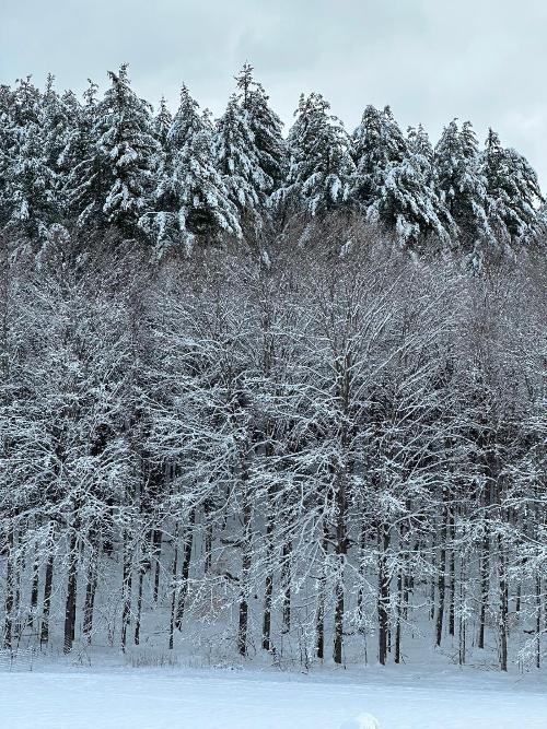 The farm in winter 1