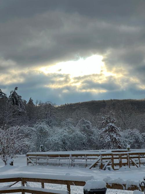 The farm in winter 2