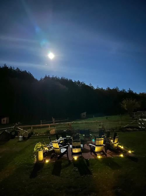 The Harvest Moon rising from backyard